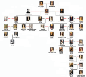 Fiction and Family Trees - Caroline Warfield